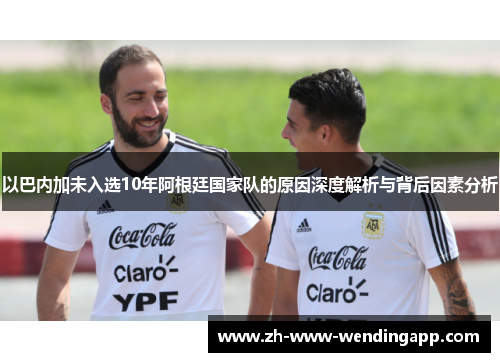 以巴内加未入选10年阿根廷国家队的原因深度解析与背后因素分析