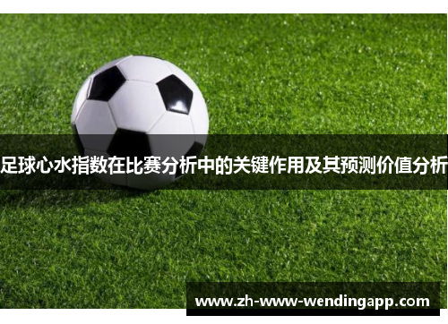 足球心水指数在比赛分析中的关键作用及其预测价值分析