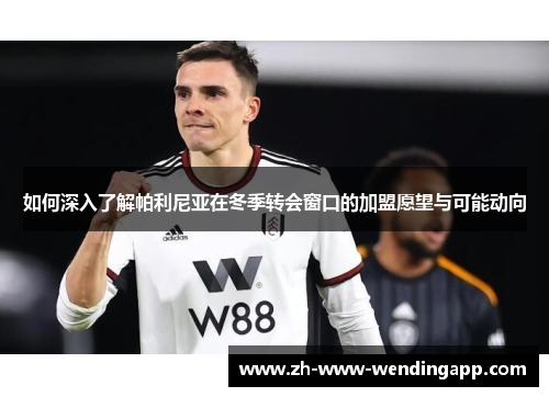 如何深入了解帕利尼亚在冬季转会窗口的加盟愿望与可能动向