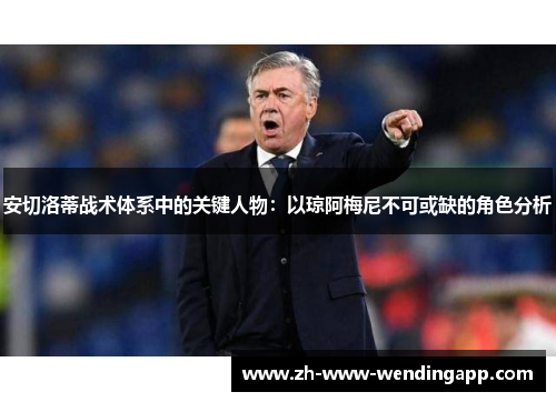安切洛蒂战术体系中的关键人物：以琼阿梅尼不可或缺的角色分析