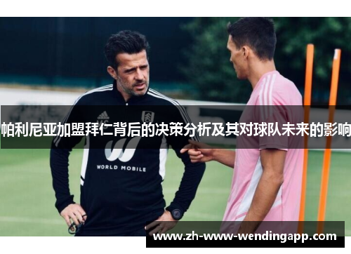 帕利尼亚加盟拜仁背后的决策分析及其对球队未来的影响