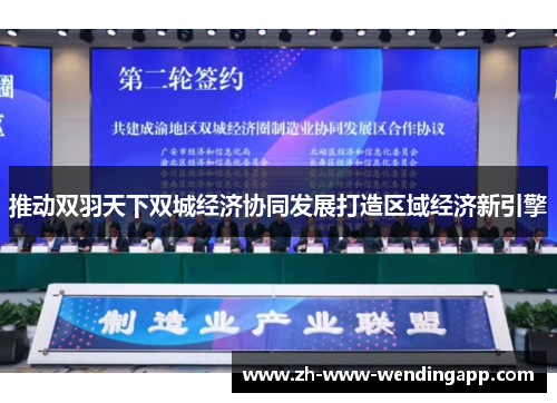 推动双羽天下双城经济协同发展打造区域经济新引擎