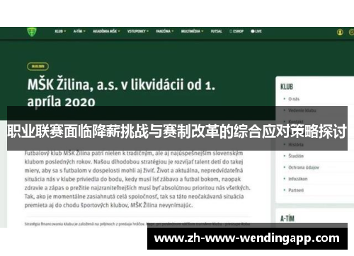职业联赛面临降薪挑战与赛制改革的综合应对策略探讨