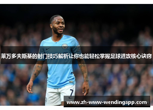 莱万多夫斯基的射门技巧解析让你也能轻松掌握足球进攻核心诀窍