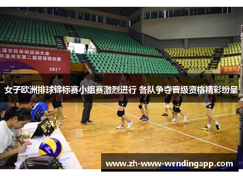 女子欧洲排球锦标赛小组赛激烈进行 各队争夺晋级资格精彩纷呈