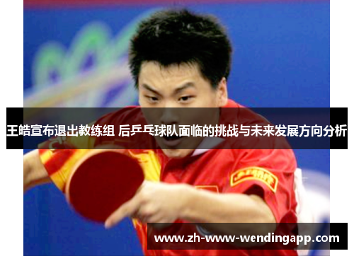 王皓宣布退出教练组 后乒乓球队面临的挑战与未来发展方向分析