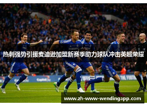 热刺强势引援麦迪逊加盟新赛季助力球队冲击英超荣耀