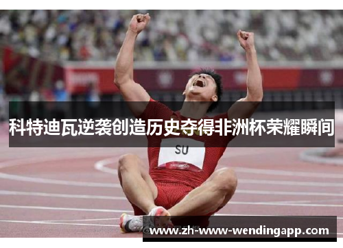 科特迪瓦逆袭创造历史夺得非洲杯荣耀瞬间