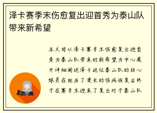 泽卡赛季末伤愈复出迎首秀为泰山队带来新希望 泽卡赛季末伤愈复出迎首秀为泰山队带来新希望
